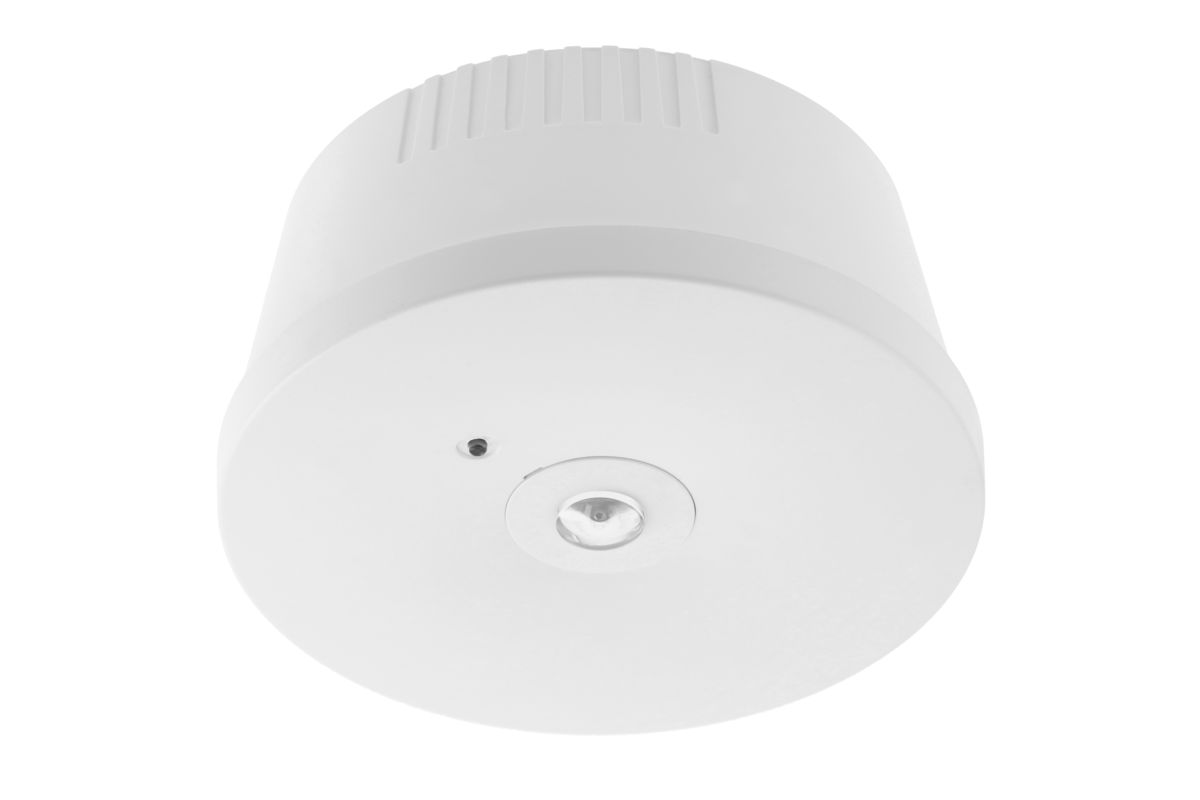 LD-OGLA3W-00 - LD-OGLA3W-00_1.png