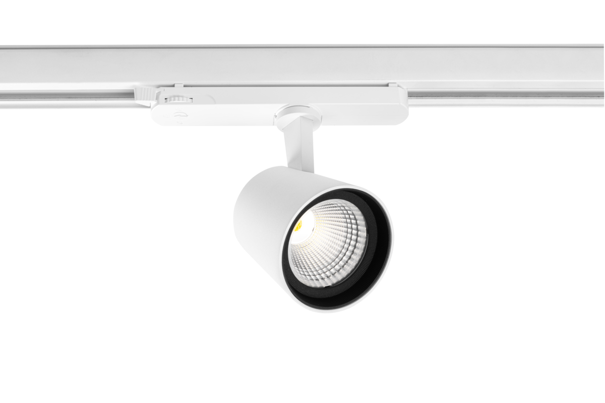 XLD-EXPO15W-CCT-00 - XLD-EXPO15W-CCT-00.png