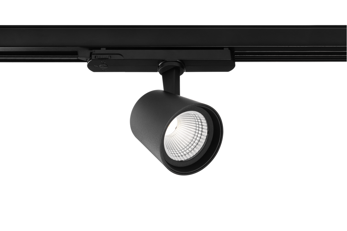 XLD-EXPO15W-CCT-10 - XLD-EXPO15W-CCT-10.png
