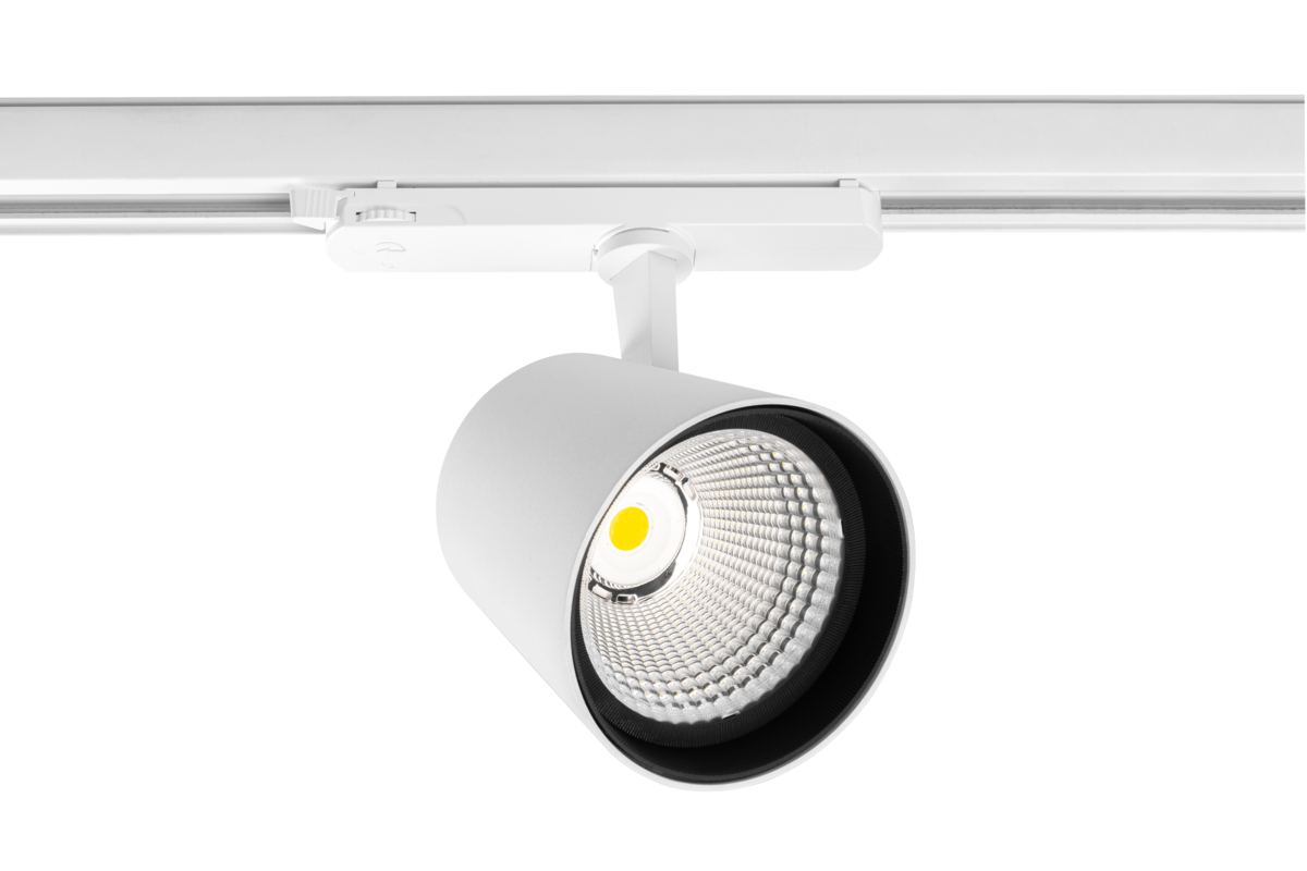 XLD-EXPO40W-CCT-00 - XLD-EXPO40W-CCT-00.png